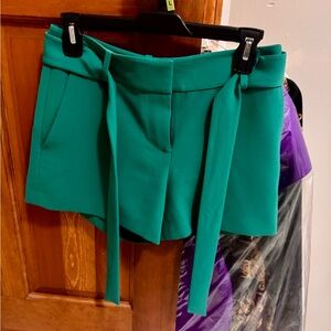 Ann Taylor Teal High Waist Women's Shorts